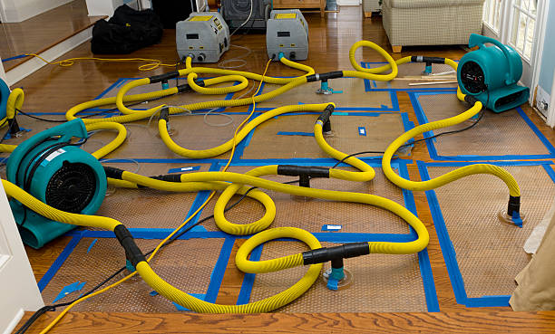 Professional Water Damage Repair technician working in Westwood, NJ